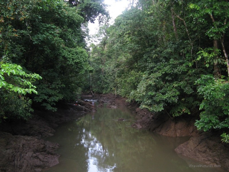 Bahia Drake river forest rainforest